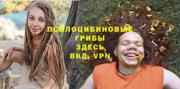 Альфа ПВП Елизово