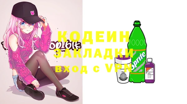 крисы Елабуга