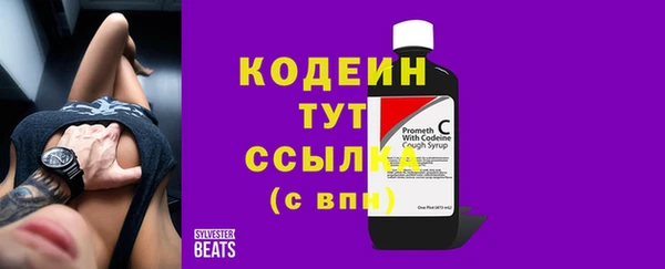 Альфа ПВП Елизово