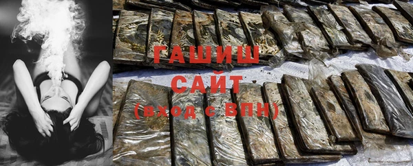 крисы Елабуга