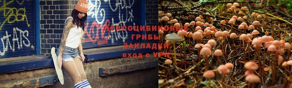 Альфа ПВП Елизово