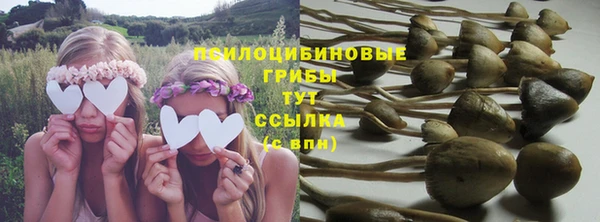 спайс Заволжье